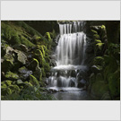 Image No : G2R3C5 : Waterfall in Botanical Gardens, Wellington NZ