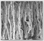 Image No : G25R2C1 : Water erosion patterns at Threlkeld Mining Museum