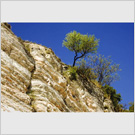 Image No : G6R1C1 : Cliff top, Sirmione